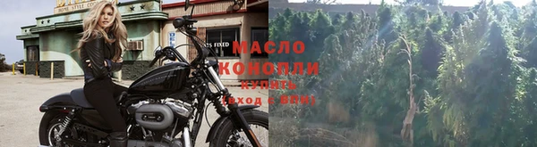 индика Кулебаки