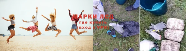индика Кулебаки