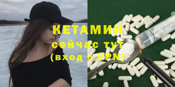 индика Кулебаки