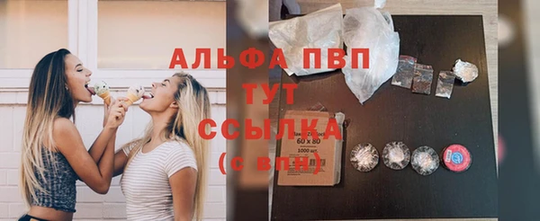 индика Кулебаки