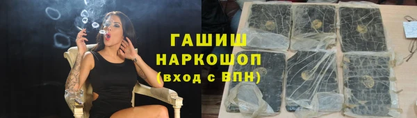 индика Кулебаки