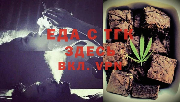 индика Кулебаки