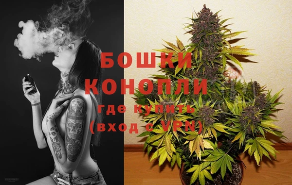 прущие грибы Лабытнанги